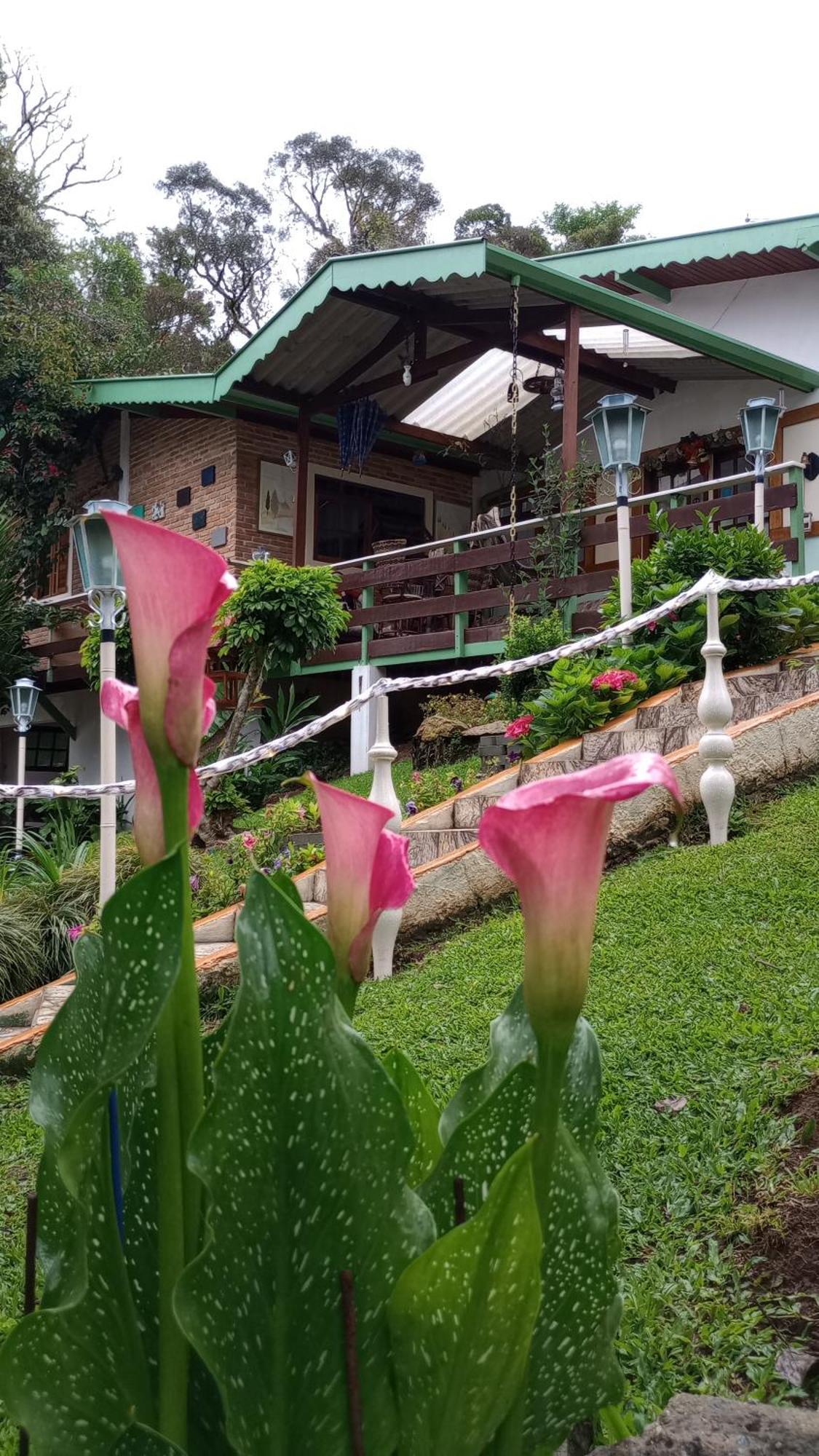 Отель Rancho Da Raposa Кампус-ду-Жордау Экстерьер фото
